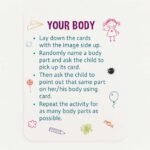 Flash Cards - Human Body - Image 4