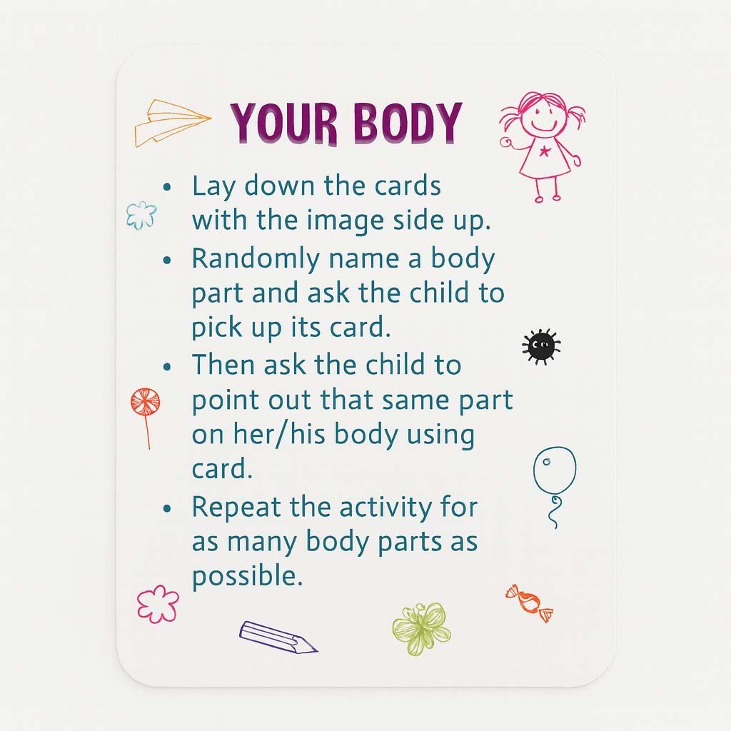 2c.jpg Flash Cards - Human Body - Image 4