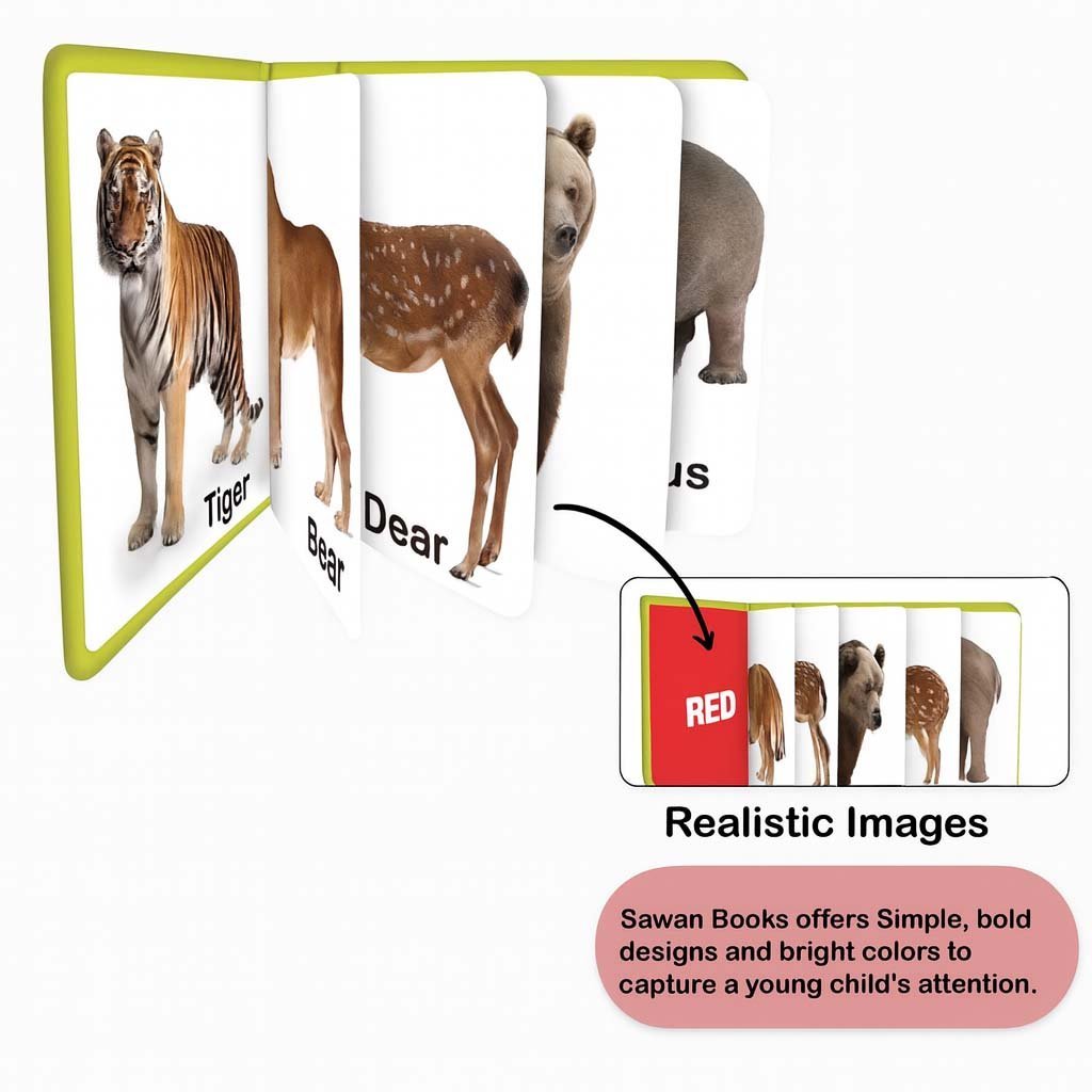 3-34.jpg My Padded Picture Book - Animals - Image 3
