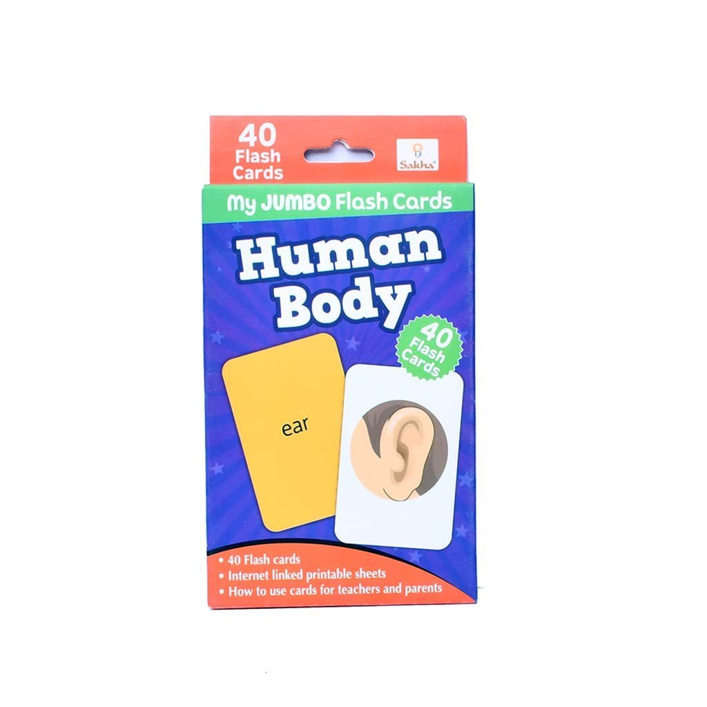 4-34.jpg Flash Cards - Human Body - Image 6